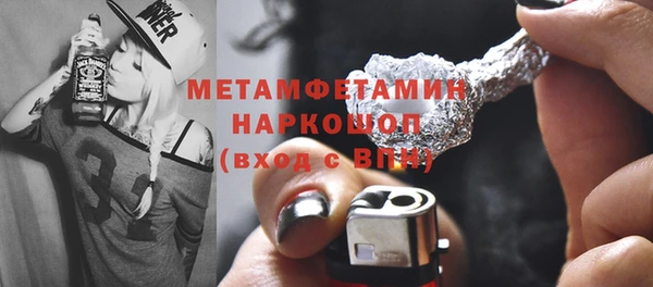 трава Корсаков