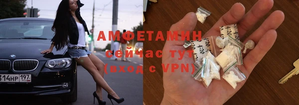 трава Корсаков
