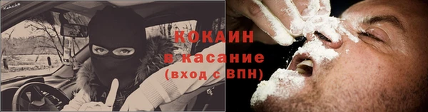 трава Корсаков