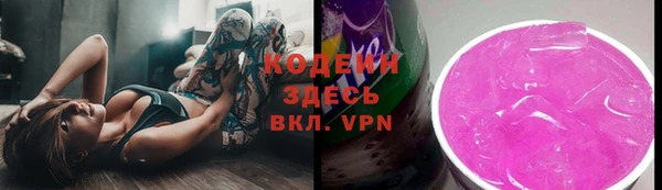 трава Корсаков