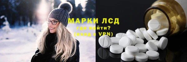 трава Корсаков