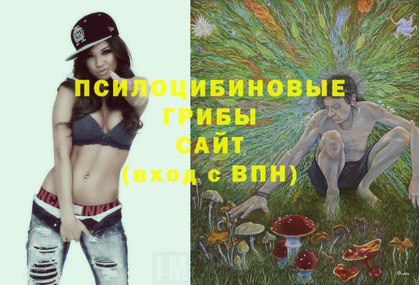 MDMA Коряжма
