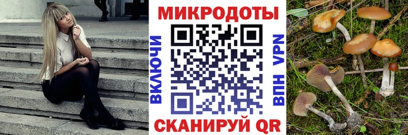 Псилоцибиновые грибы мицелий  Купить  Болотное 